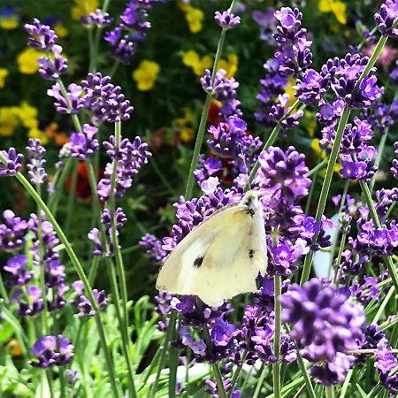 Yufuin Flora House Bed & Breakfast Dış mekan fotoğraf