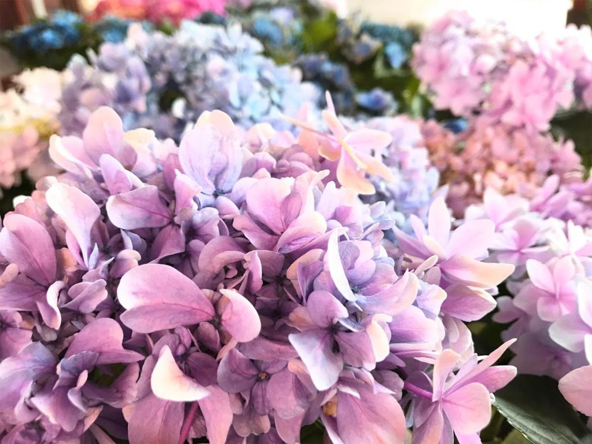 Yufuin Flora House Bed & Breakfast Dış mekan fotoğraf