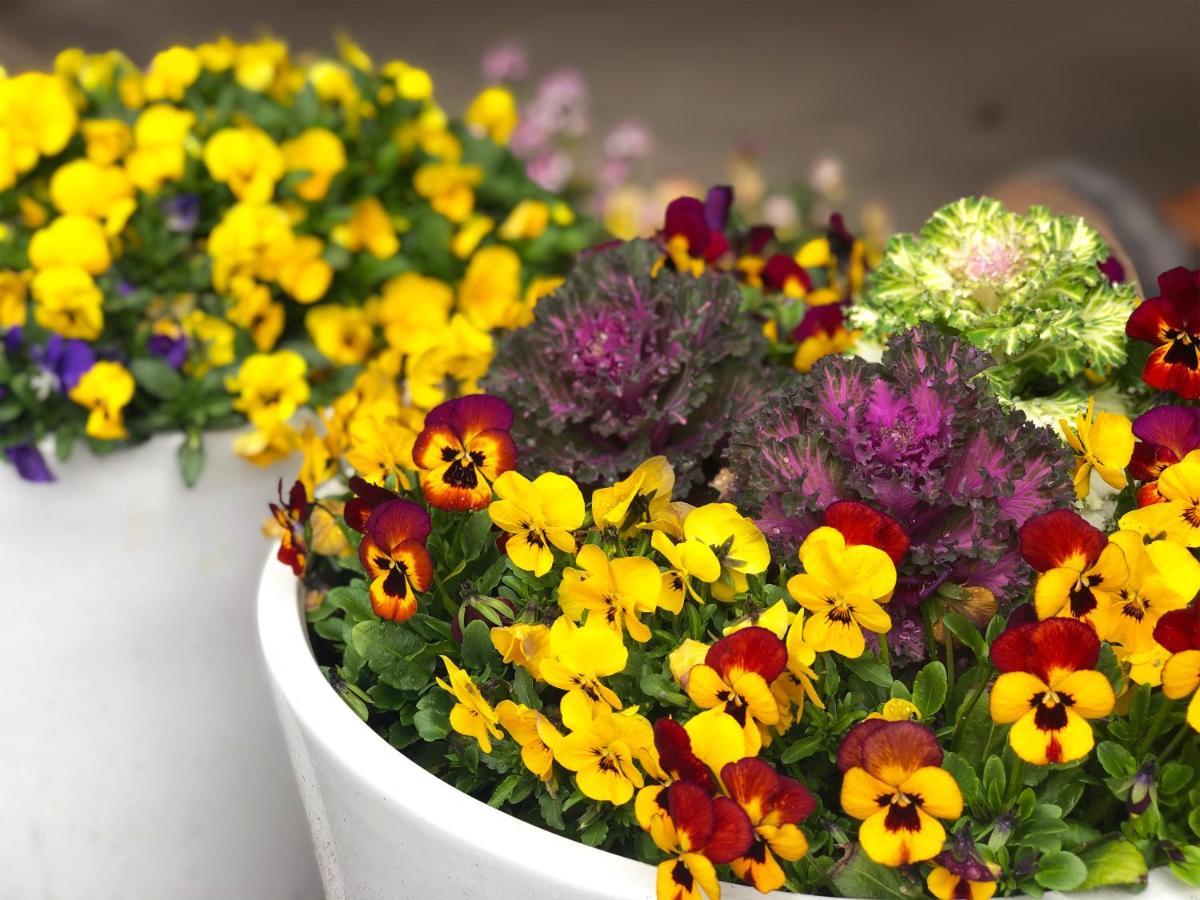 Yufuin Flora House Bed & Breakfast Dış mekan fotoğraf
